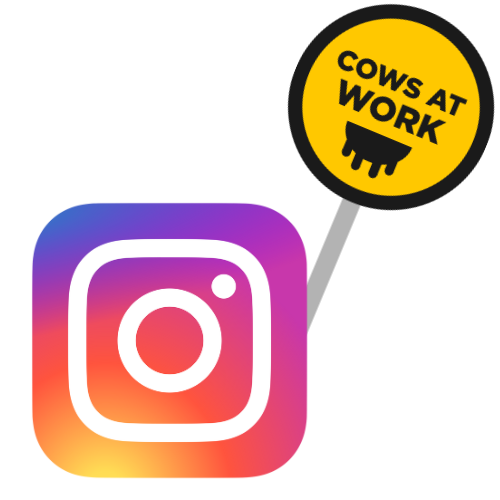 Instagram logo with a yellow road sign coming from it reading 'COWS AT WORK'